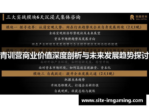 青训营商业价值深度剖析与未来发展趋势探讨
