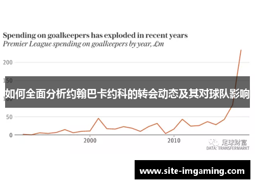 如何全面分析约翰巴卡约科的转会动态及其对球队影响